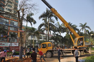 園林行業(yè)工程機(jī)械租賃的那些坑